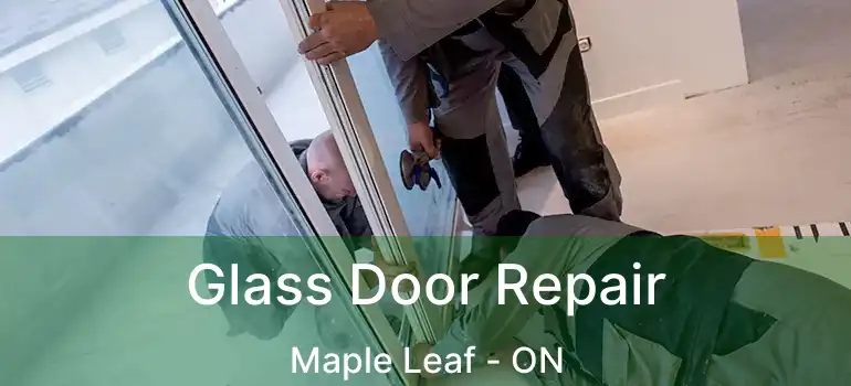  Glass Door Repair Maple Leaf - ON