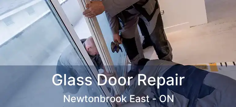  Glass Door Repair Newtonbrook East - ON