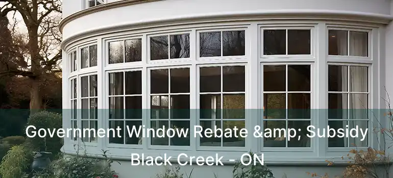  Government Window Rebate & Subsidy Black Creek - ON