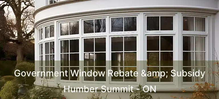  Government Window Rebate & Subsidy Humber Summit - ON