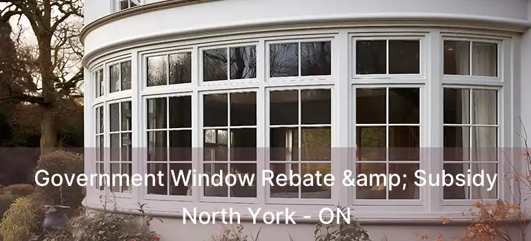  Government Window Rebate & Subsidy North York - ON