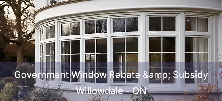  Government Window Rebate & Subsidy Willowdale - ON