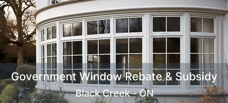  Government Window Rebate & Subsidy Black Creek - ON