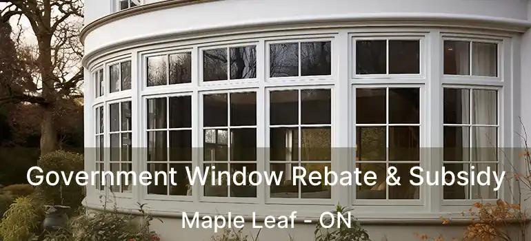  Government Window Rebate & Subsidy Maple Leaf - ON