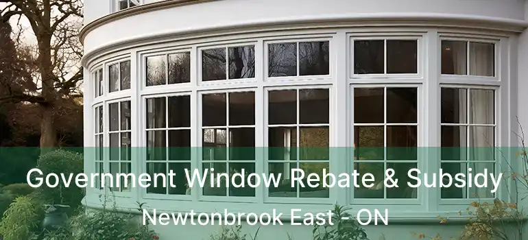  Government Window Rebate & Subsidy Newtonbrook East - ON