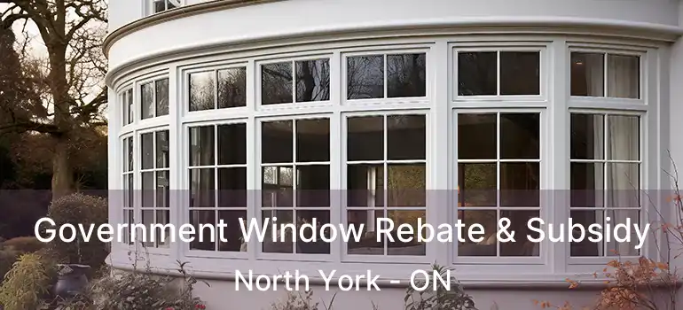  Government Window Rebate & Subsidy North York - ON