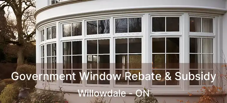  Government Window Rebate & Subsidy Willowdale - ON