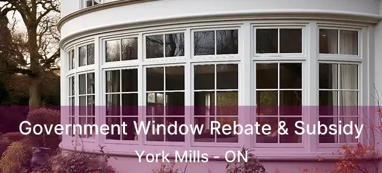  Government Window Rebate & Subsidy York Mills - ON