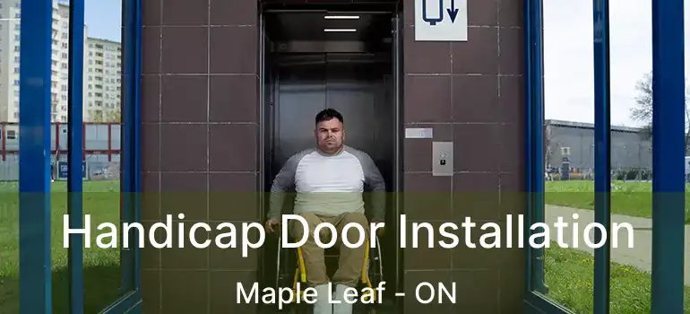  Handicap Door Installation Maple Leaf - ON