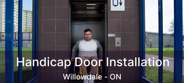  Handicap Door Installation Willowdale - ON