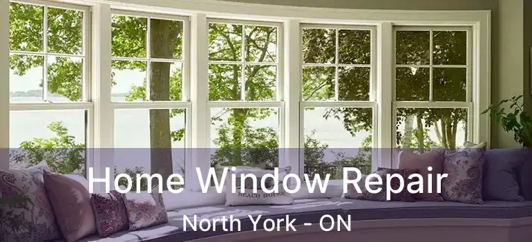  Home Window Repair North York - ON