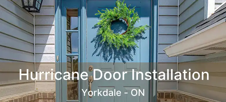  Hurricane Door Installation Yorkdale - ON