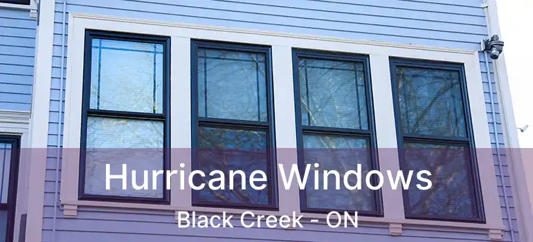  Hurricane Windows Black Creek - ON