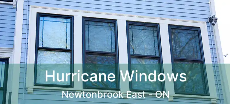  Hurricane Windows Newtonbrook East - ON