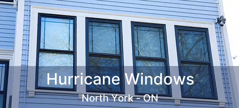  Hurricane Windows North York - ON