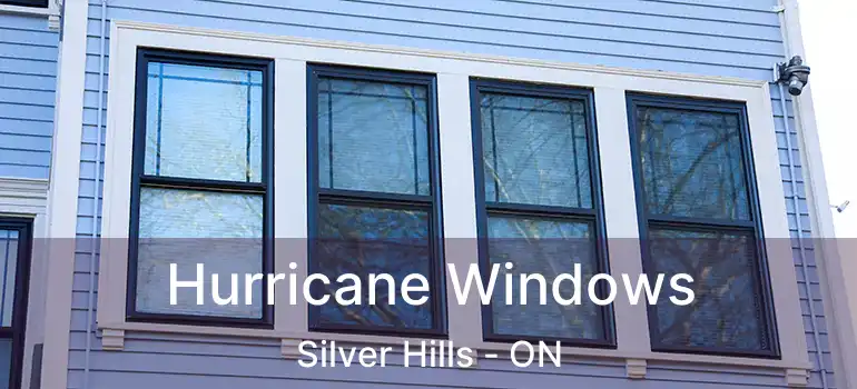  Hurricane Windows Silver Hills - ON