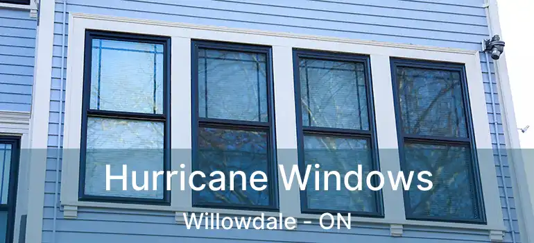  Hurricane Windows Willowdale - ON
