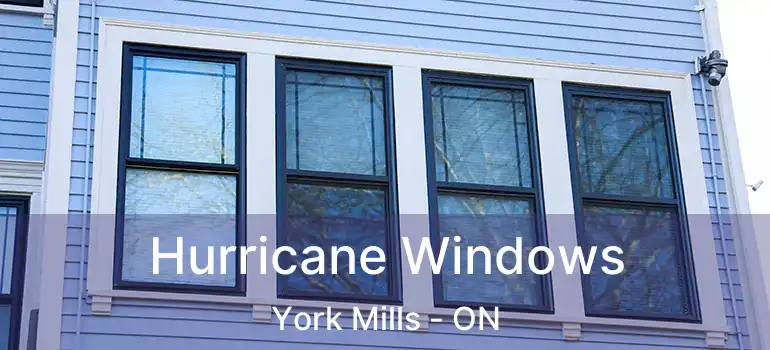 Hurricane Windows York Mills - ON