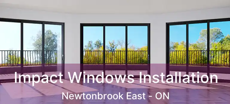 Impact Windows Installation Newtonbrook East - ON
