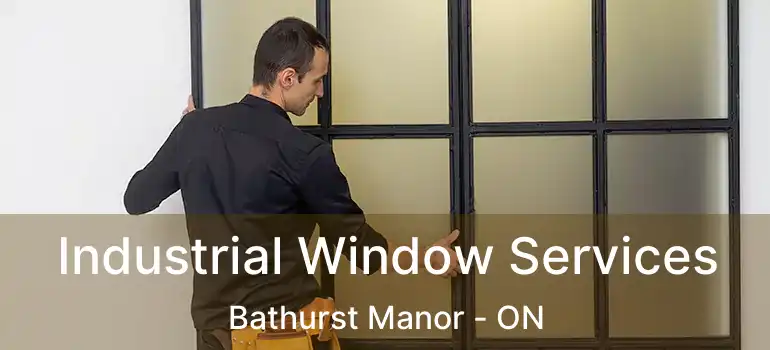  Industrial Window Services Bathurst Manor - ON