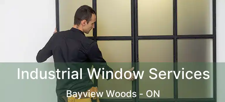  Industrial Window Services Bayview Woods - ON