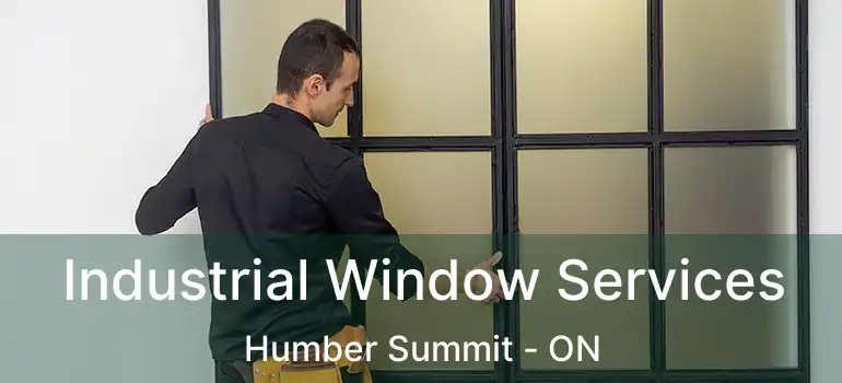  Industrial Window Services Humber Summit - ON