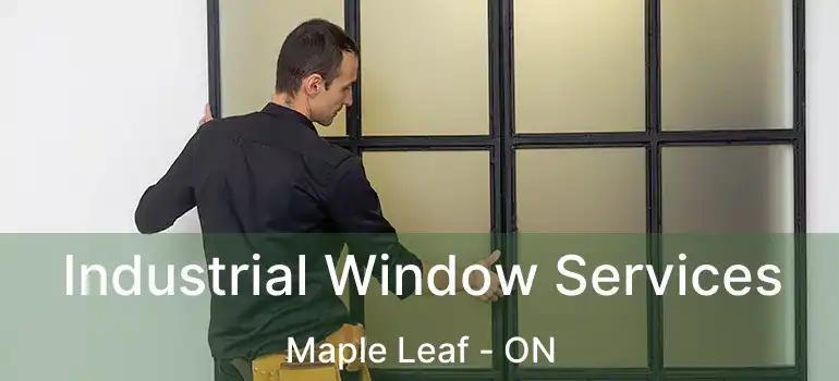  Industrial Window Services Maple Leaf - ON