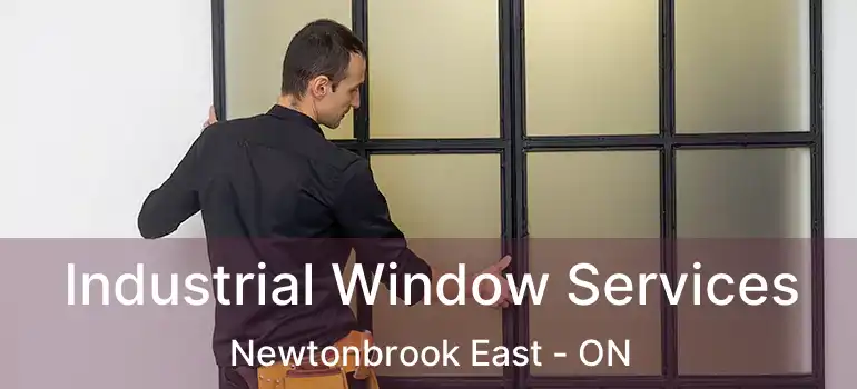  Industrial Window Services Newtonbrook East - ON