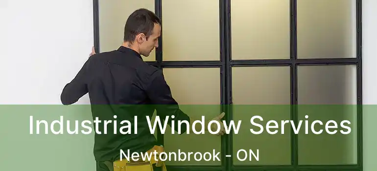  Industrial Window Services Newtonbrook - ON