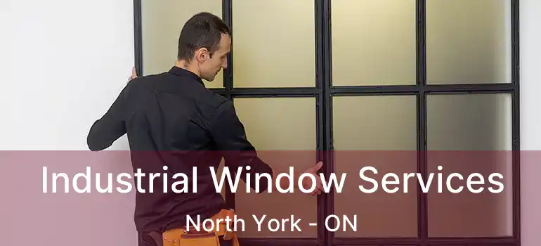  Industrial Window Services North York - ON