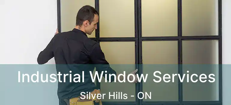  Industrial Window Services Silver Hills - ON