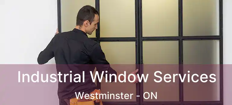  Industrial Window Services Westminster - ON