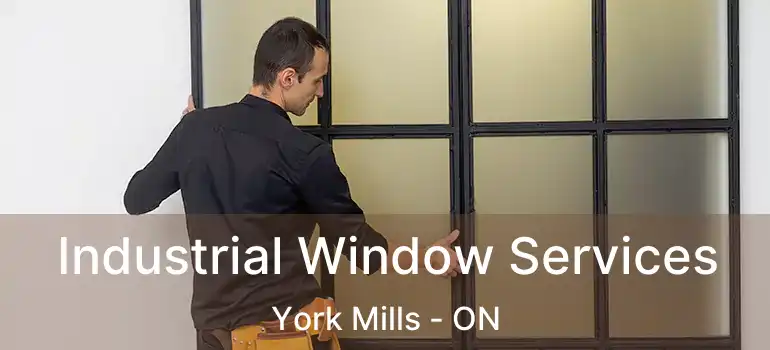  Industrial Window Services York Mills - ON