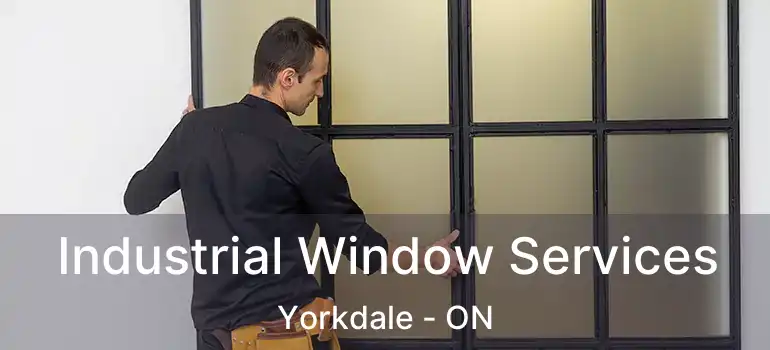  Industrial Window Services Yorkdale - ON