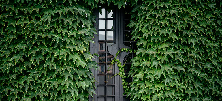 Garden Gate Repair in Westminster, ON