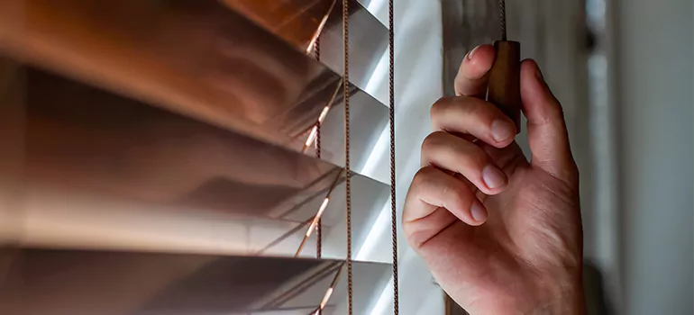 Double Roller Blinds in North York, Ontario
