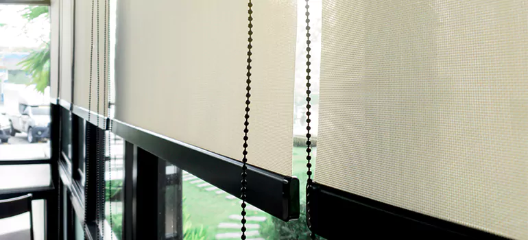 Blackout Window Shades in North York, Ontario