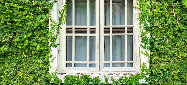 arden Window Repair Near Me in Downsview, ON