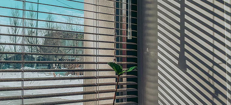 Commercial Window Blinds in North York, ON