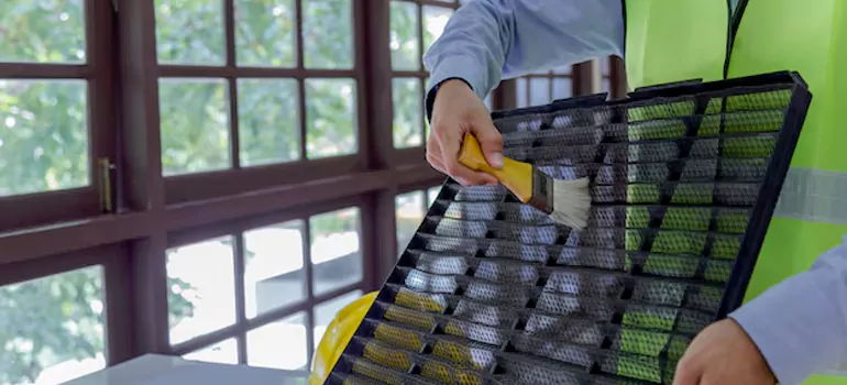 Traditional Window Grille Installation Options in North York, ON