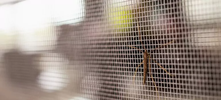 Repair Mosquito Mesh For Windows in North York, Ontario