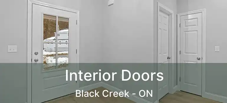  Interior Doors Black Creek - ON