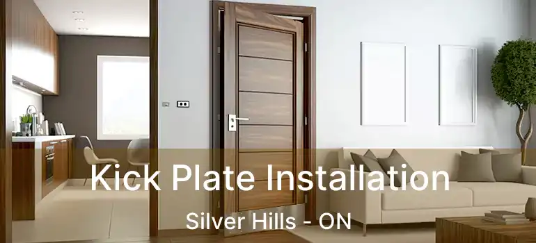  Kick Plate Installation Silver Hills - ON