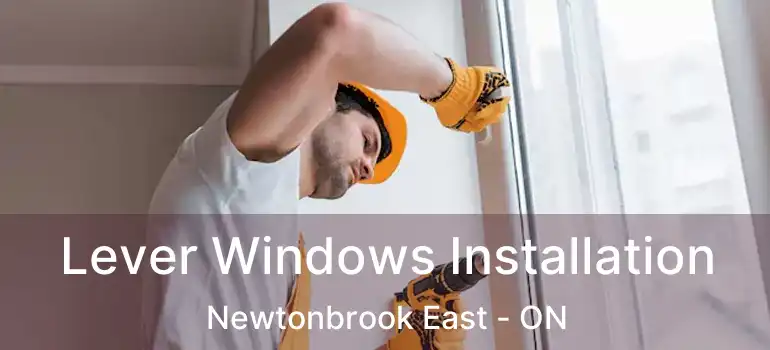  Lever Windows Installation Newtonbrook East - ON