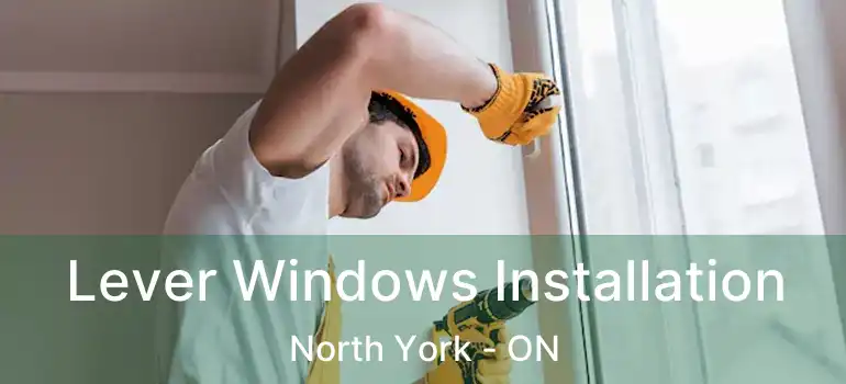  Lever Windows Installation North York - ON
