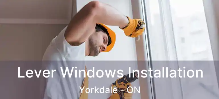  Lever Windows Installation Yorkdale - ON