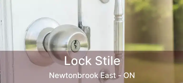  Lock Stile Newtonbrook East - ON