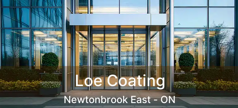  Loe Coating Newtonbrook East - ON