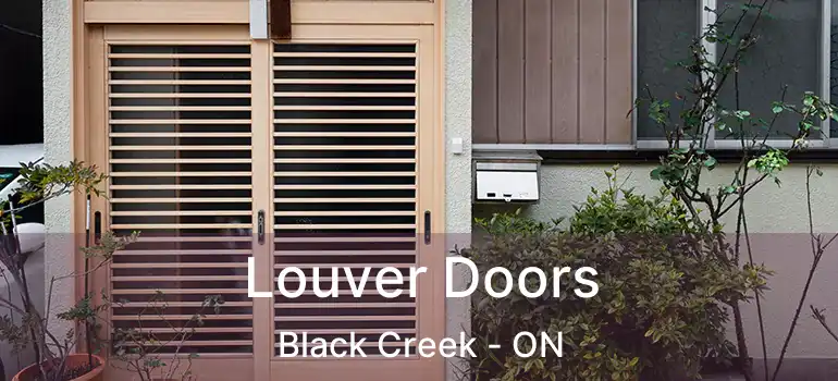  Louver Doors Black Creek - ON