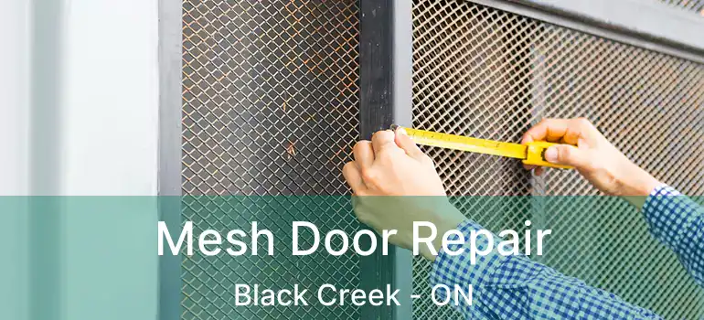  Mesh Door Repair Black Creek - ON